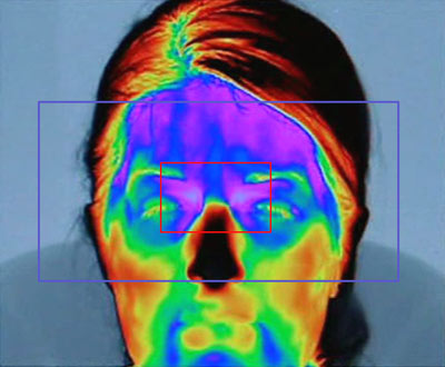  Перевірка домашнього персоналу на поліграфі. Чи варто впускати додому без детектора брехні?